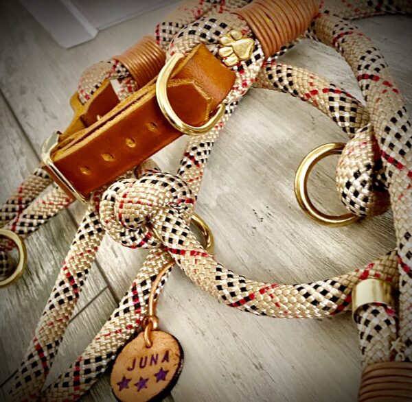 Tauleine-Tauhalsband-Set-"Burberry-Style" – Bild 3