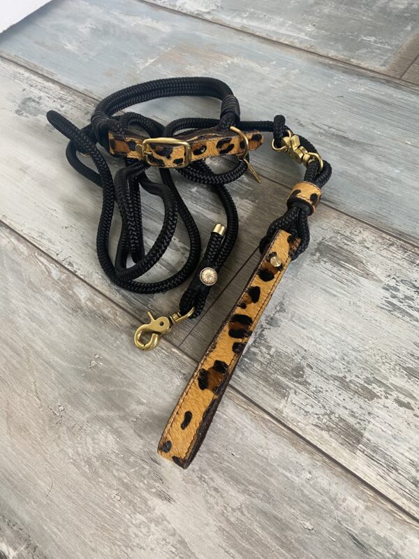 Set Tauleine und Halsband Wildness – Bild 15