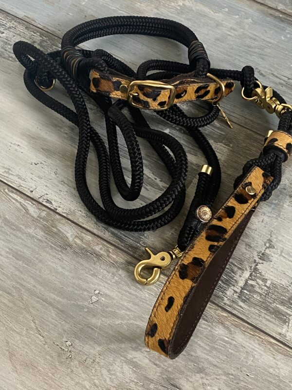 Set Tauleine und Halsband Wildness