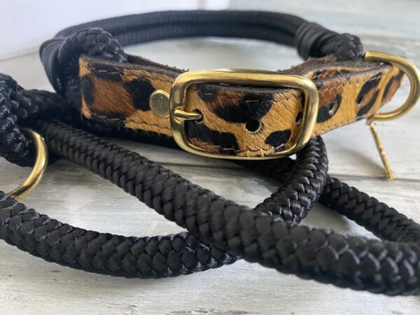 Set Tauleine und Halsband Wildness – Bild 3