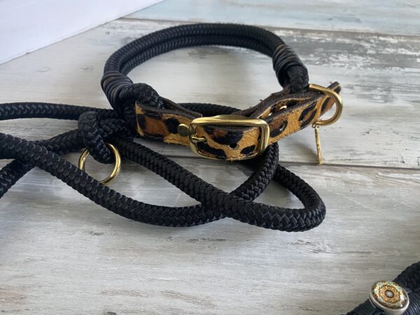Set Tauleine und Halsband Wildness – Bild 9