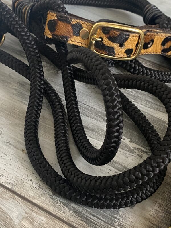 Set Tauleine und Halsband Wildness – Bild 8