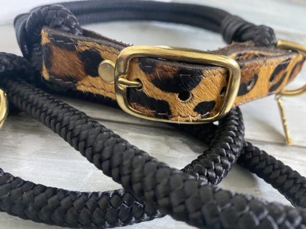Set Tauleine und Halsband Wildness – Bild 6