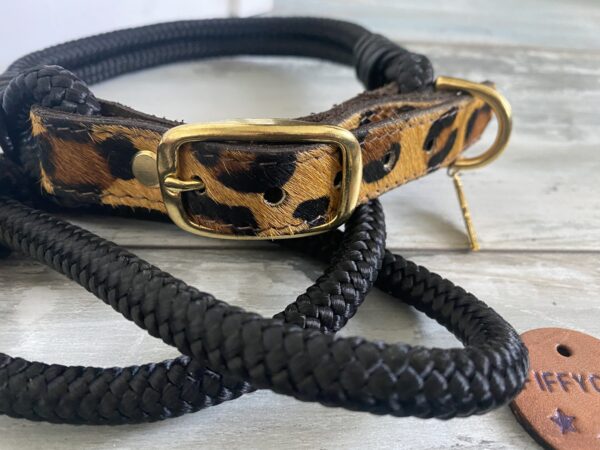 Set Tauleine und Halsband Wildness – Bild 5