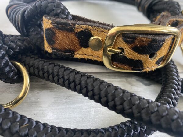 Set Tauleine und Halsband Wildness – Bild 11