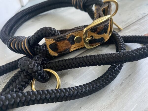 Set Tauleine und Halsband Wildness – Bild 4