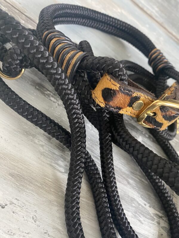 Set Tauleine und Halsband Wildness – Bild 16