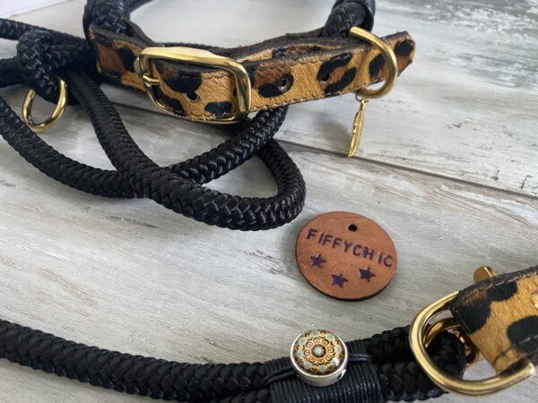 Set Tauleine und Halsband Wildness – Bild 7