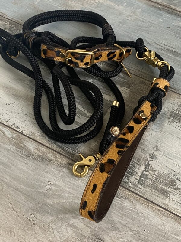 Set Tauleine und Halsband Wildness – Bild 12