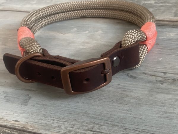 Hundehalsband und Tauleine im Set – Bild 8