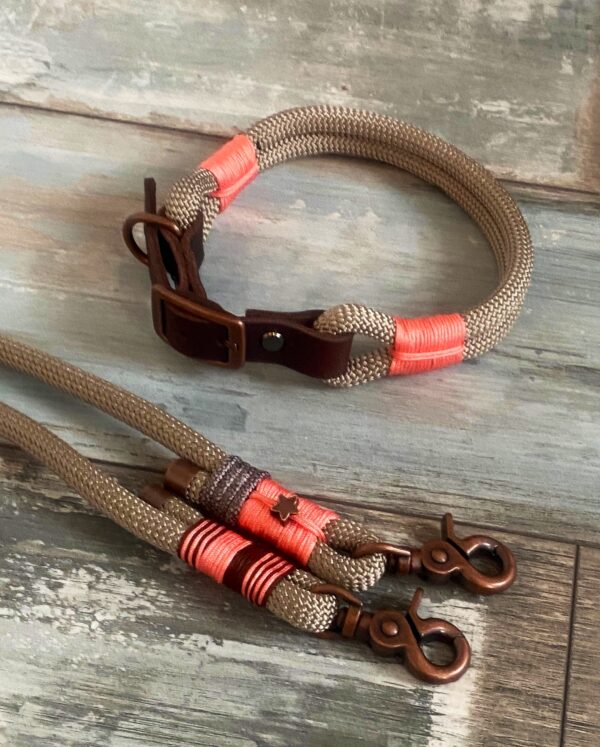 Hundehalsband und Tauleine im Set – Bild 4