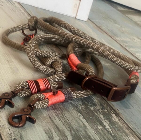 Hundehalsband und Tauleine im Set