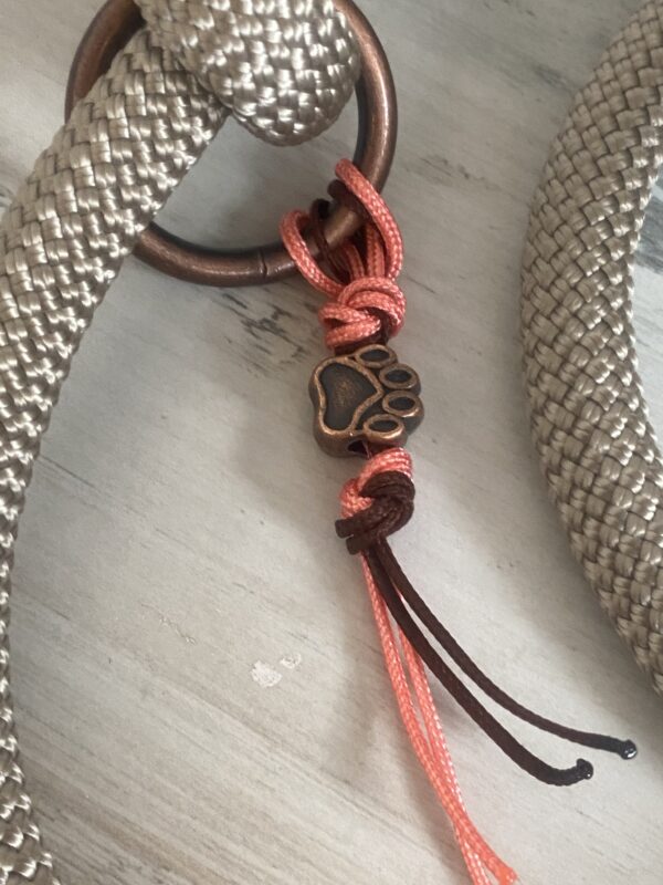 Hundehalsband und Tauleine im Set – Bild 6
