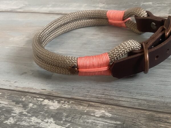 Hundehalsband und Tauleine im Set – Bild 9