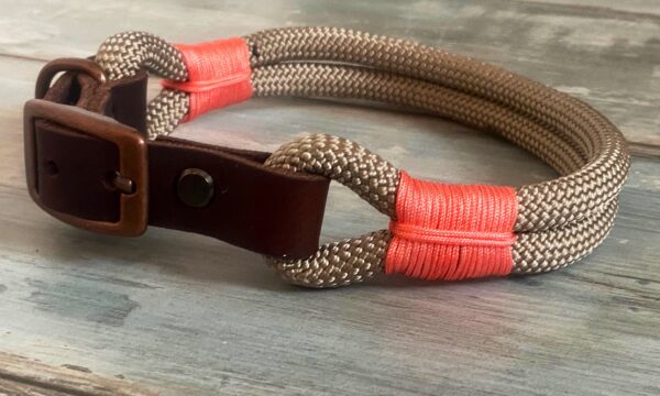 Hundehalsband und Tauleine im Set – Bild 5