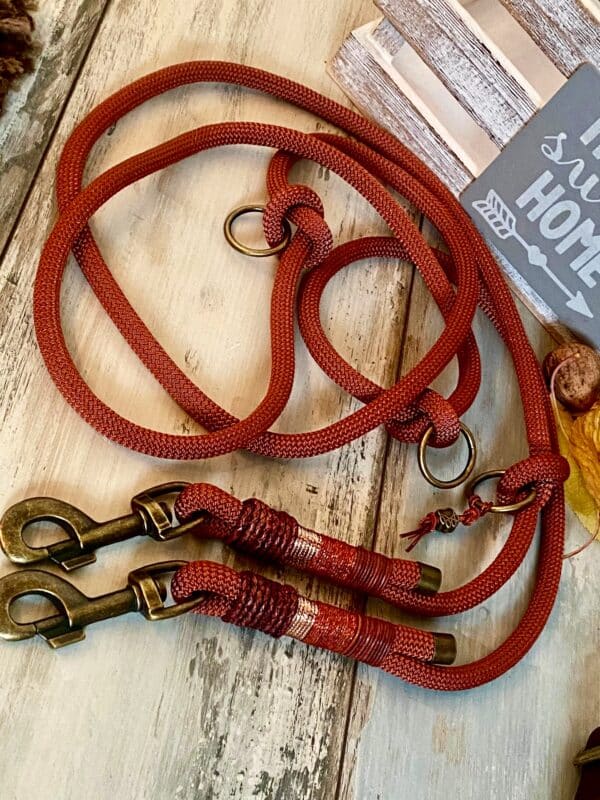 Tauleine und Halsband Set AutumVibes – Bild 3