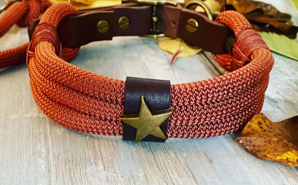 Tauleine und Halsband Set AutumVibes – Bild 2