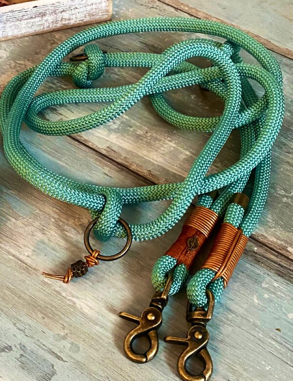 Tauleine und Halsband mit Leder und Schnalle – Bild 3
