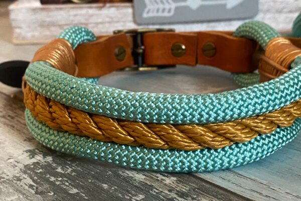 Tauleine und Halsband mit Leder und Schnalle – Bild 6