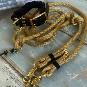 Hundeleine Tauleine und Paracord Halsband verstellbar Gold schwarz