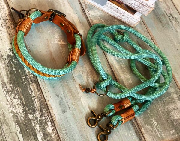 Tauleine und Halsband mit Leder und Schnalle – Bild 2