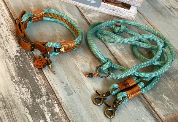 Tauleine und Halsband mit Leder und Schnalle – Bild 8
