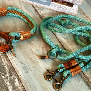 Tauleine und Halsband mit Leder und Schnalle