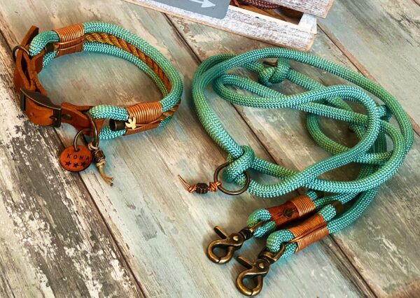 Tauleine und Halsband mit Leder und Schnalle