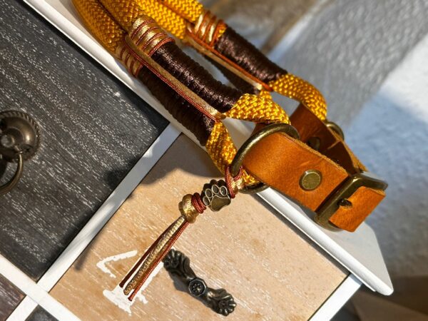 Tauleine und verstellbares Halsband Set "Piratengold" – Bild 3