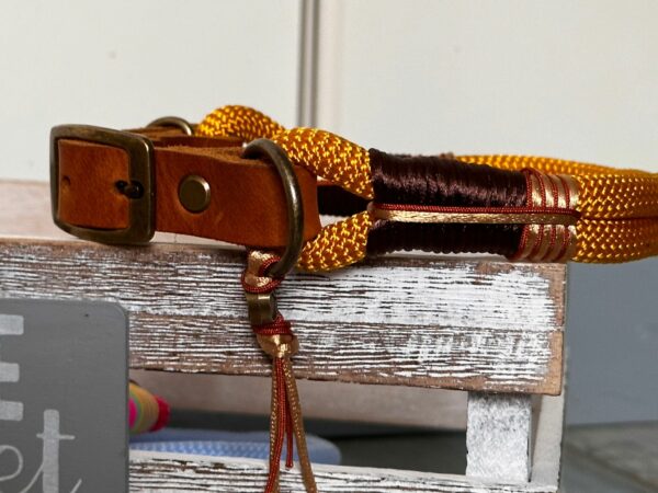 Tauleine und verstellbares Halsband Set "Piratengold" – Bild 4