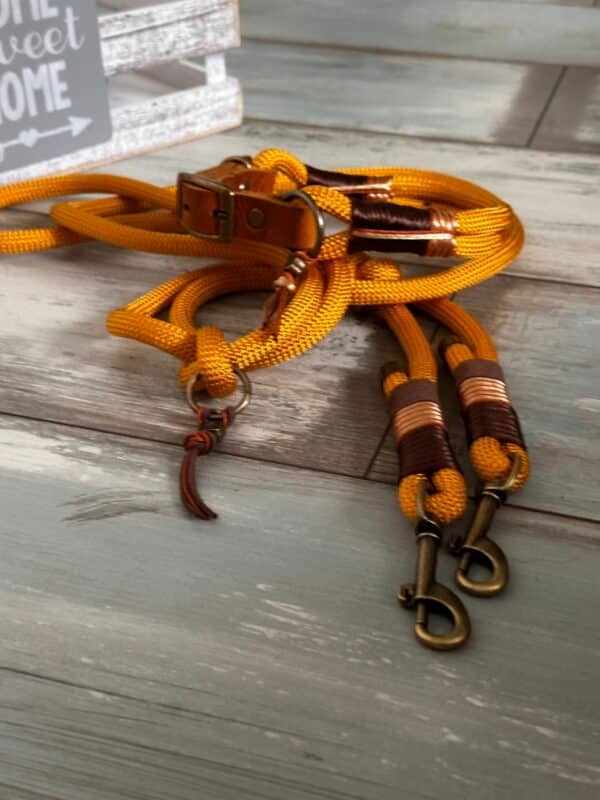Tauleine und verstellbares Halsband Set "Piratengold" – Bild 2