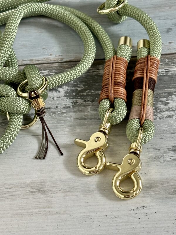 Tauleine und Halsband Set für Hunde – Bild 7