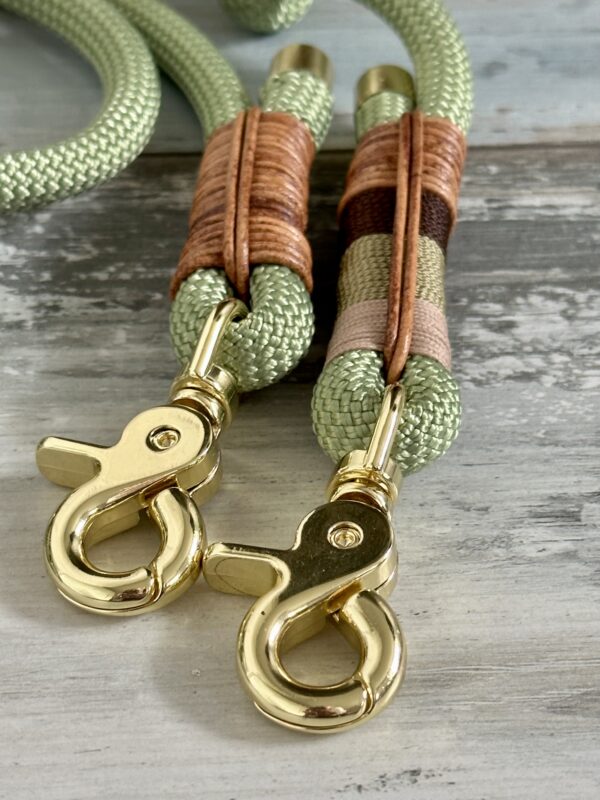 Tauleine und Halsband Set für Hunde – Bild 6