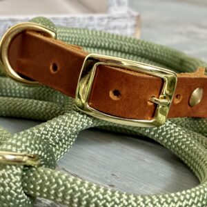 Tauleine und Halsband Set für Hunde