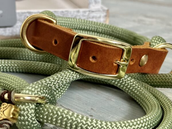 Tauleine und Halsband Set für Hunde