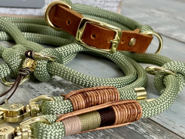 Tauleine und Halsband Set für Hunde – Bild 2