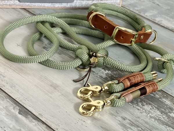 Tauleine und Halsband Set für Hunde – Bild 8