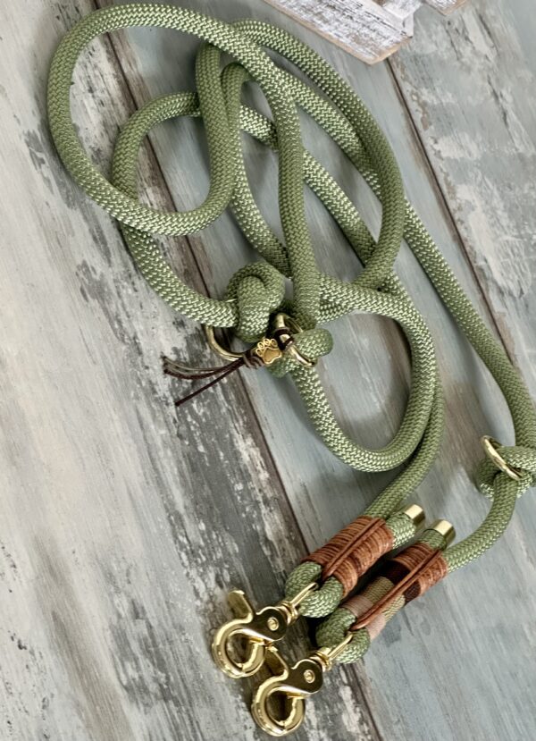 Tauleine und Halsband Set für Hunde – Bild 11