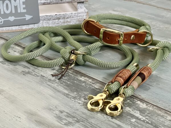 Tauleine und Halsband Set für Hunde – Bild 10