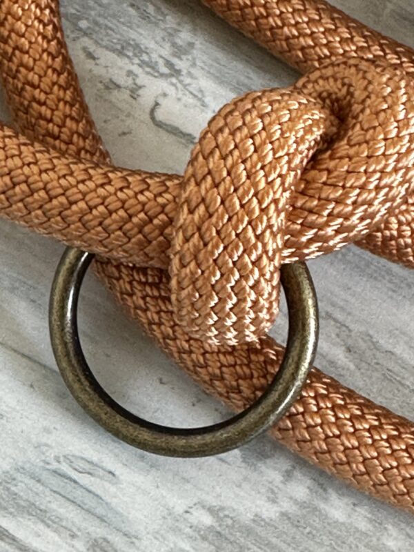 Tauleine und Halsband Set – Bild 5