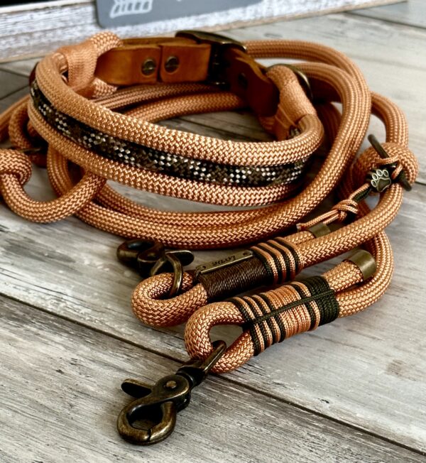 Tauleine und Halsband Set – Bild 2