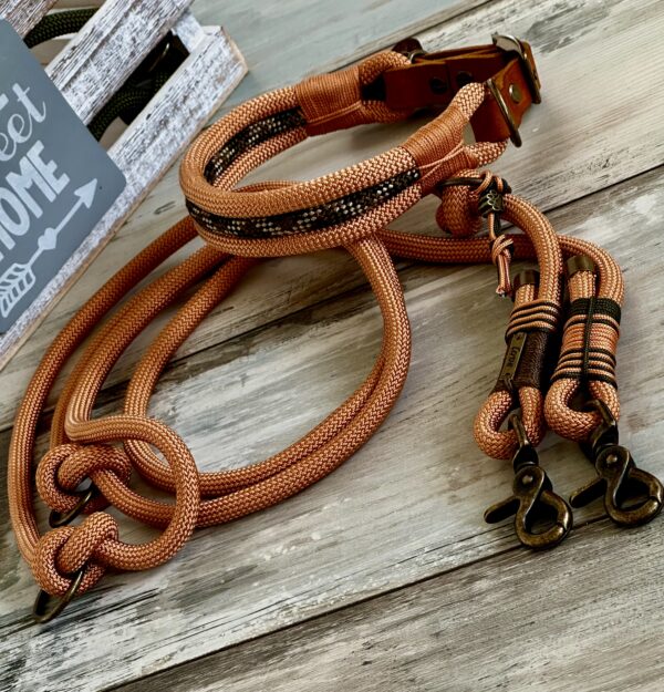 Tauleine und Halsband Set – Bild 4