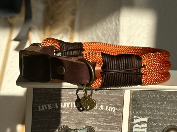 Tauleine und Halsband Foxy – Bild 16