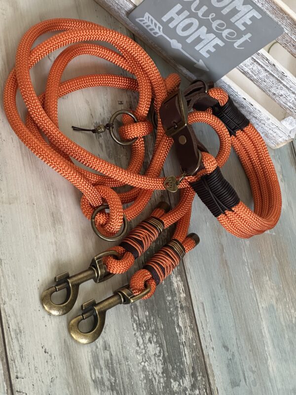 Tauleine und Halsband Foxy – Bild 12