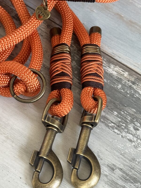 Tauleine und Halsband Foxy – Bild 9