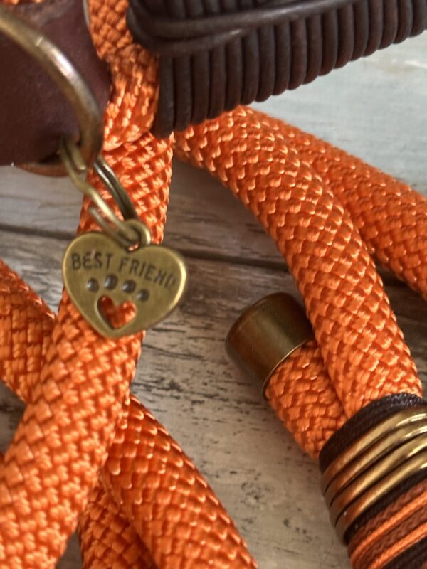 Tauleine und Halsband Foxy – Bild 8