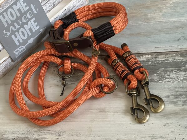 Tauleine und Halsband Foxy – Bild 11