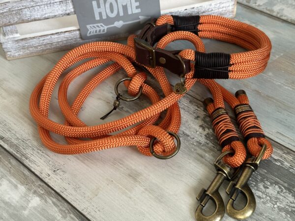 Tauleine und Halsband Foxy – Bild 10