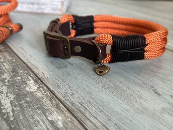 Tauleine und Halsband Foxy – Bild 6