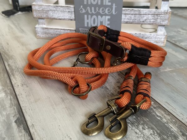 Tauleine und Halsband Foxy – Bild 13